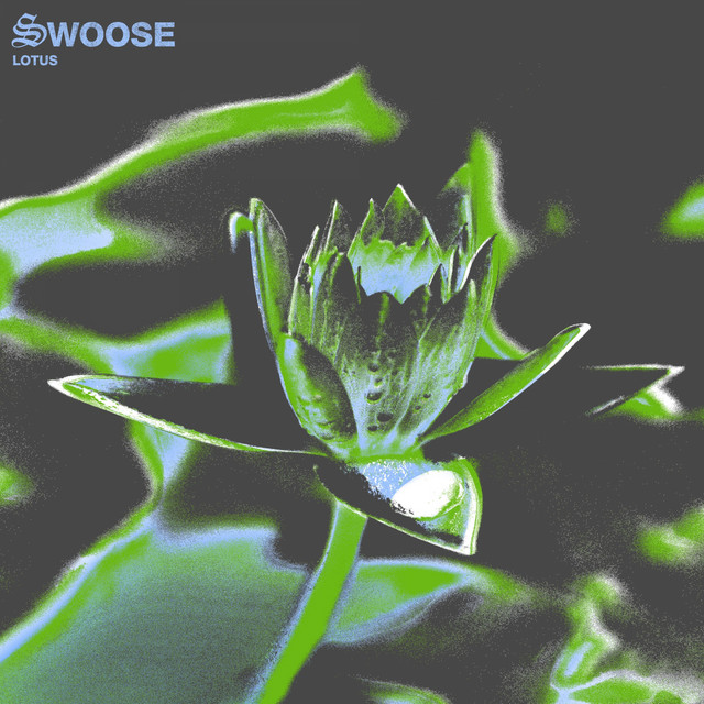 Lotus album art