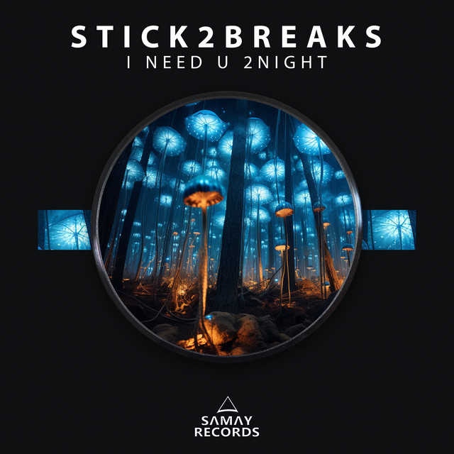 STICK2BREAKS