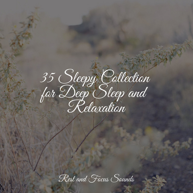 35 Sleepy Collection for Deep Sleep and Relaxation - Album by Sounds of ...