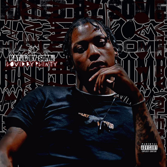 Hated by Some, Loved by Plenty cover art