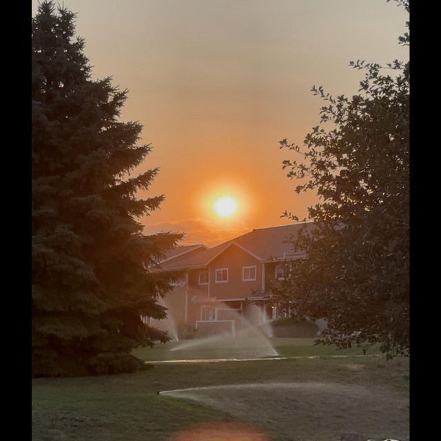 the sun forgot us