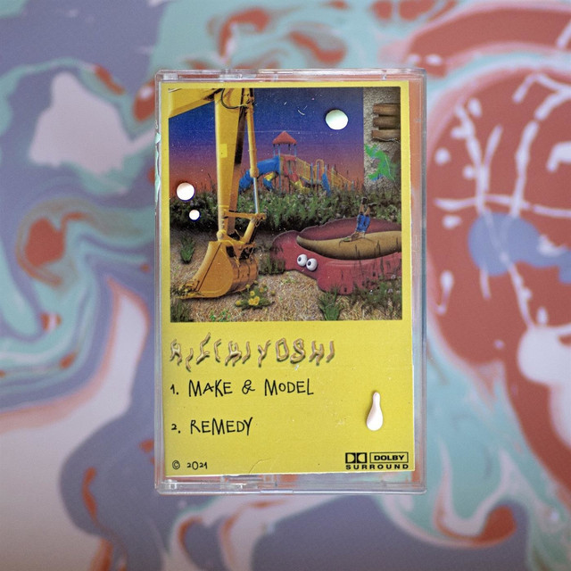 Make & Model / Remedy cover art