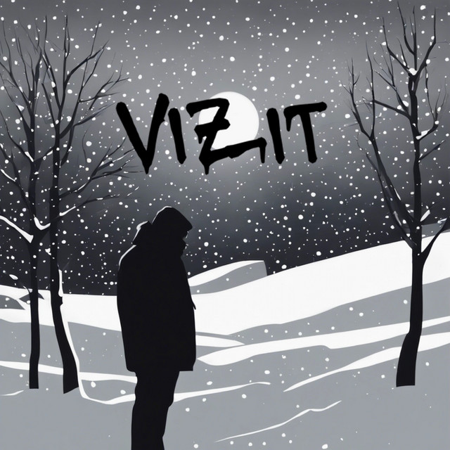 Обкладинка: Сніг — VIZIT