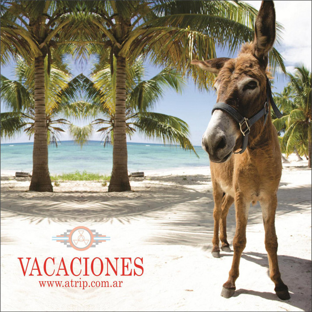 Vacaciones cover art