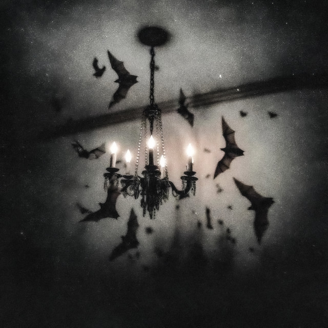undefined album image