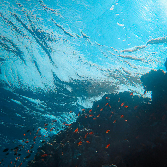 finding the surface cover art