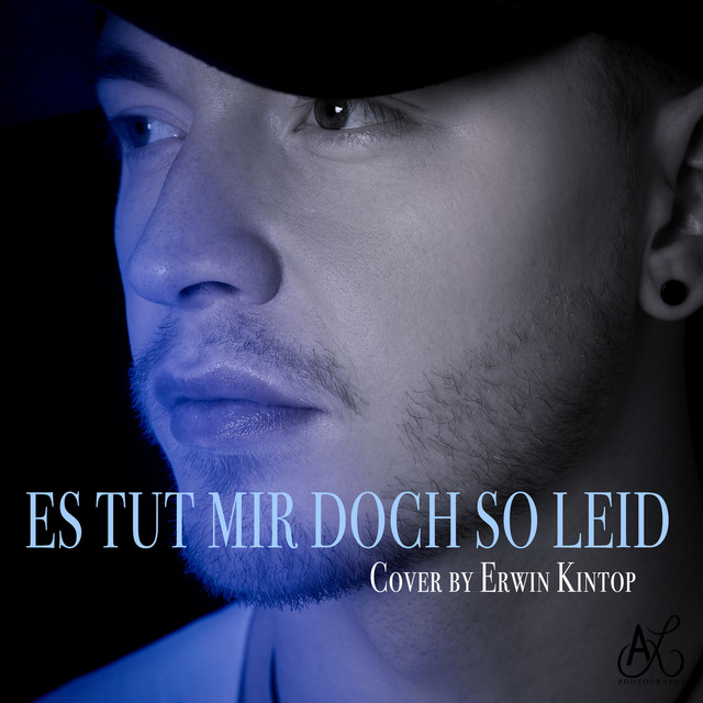 Es Tut Mir Doch so Leid (Cover)
