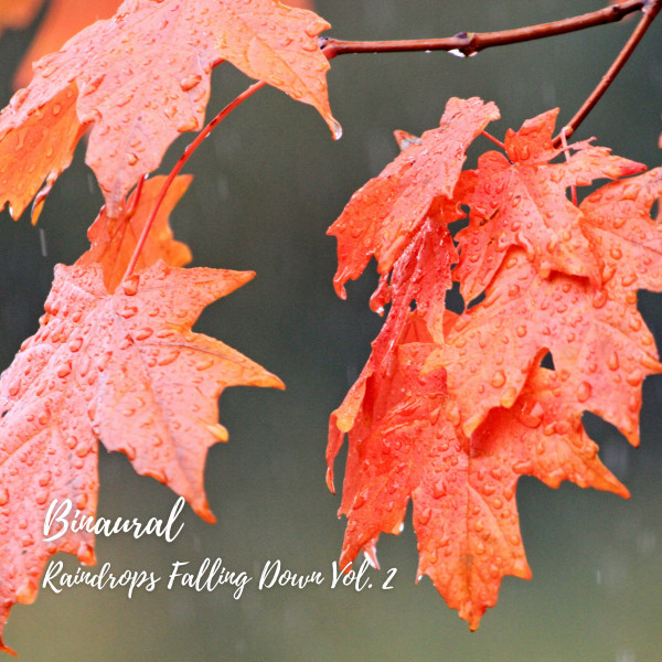 Binaural: Raindrops Falling Down Vol. 2 cover art