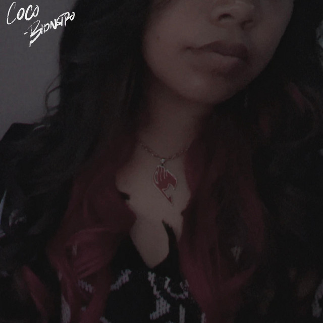 coco cover art