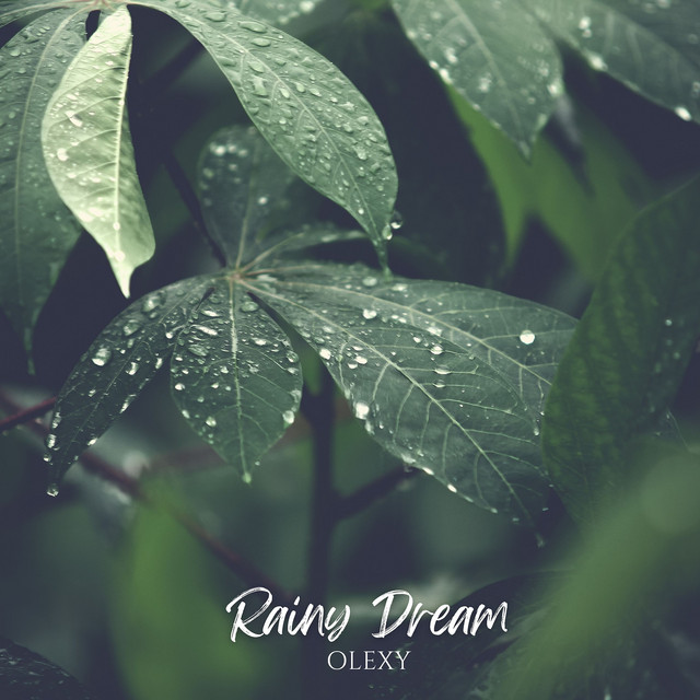 Cover art: Rainy Dream — Olexy
