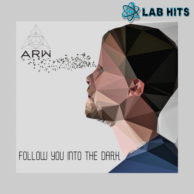Follow You Into the Dark cover