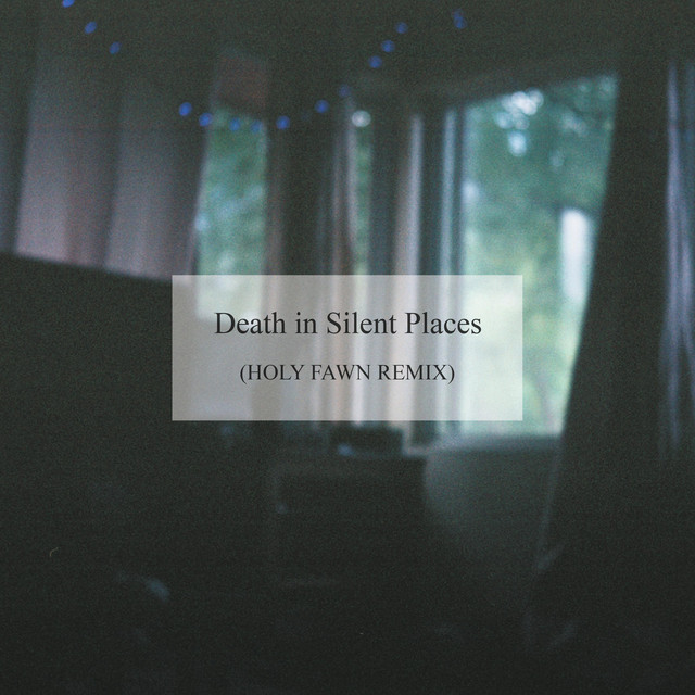 Death in Silent Places (HOLY FAWN Remix) (single)