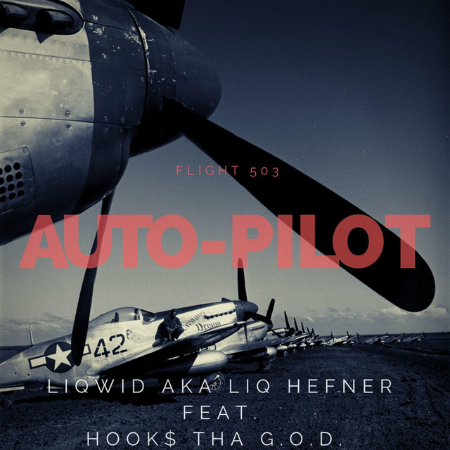 Auto-Pilot Flight 503