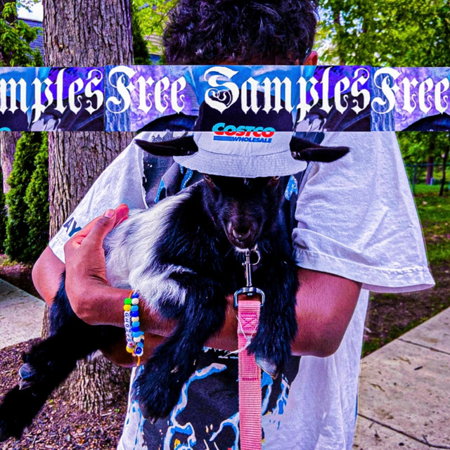 Free Samples cover art
