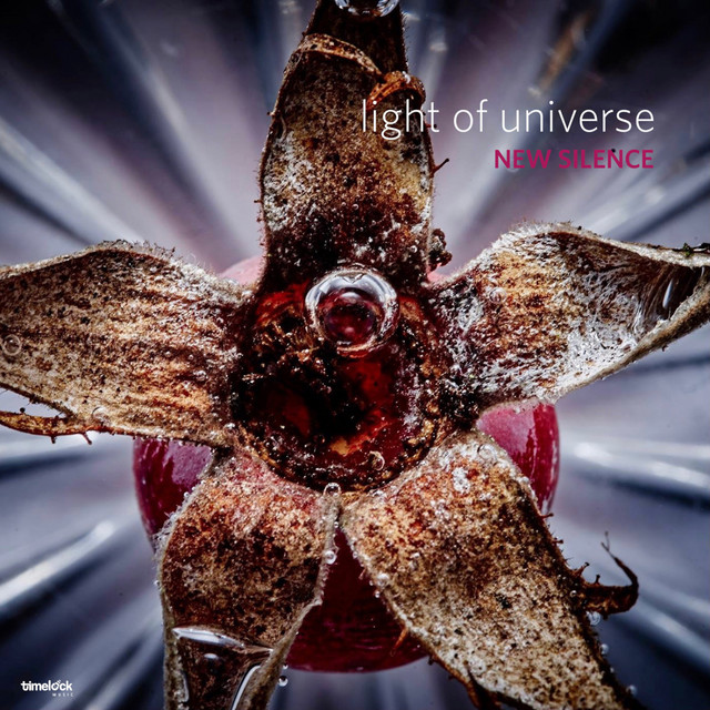 Light Of Universe cover
