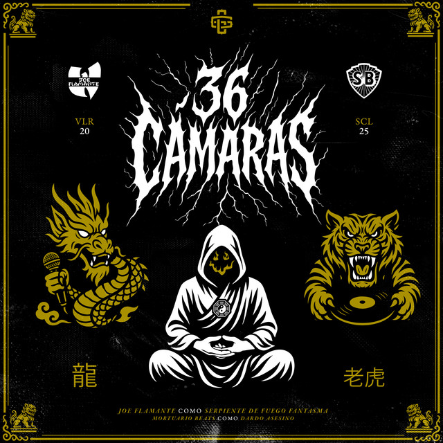 36 Cámaras