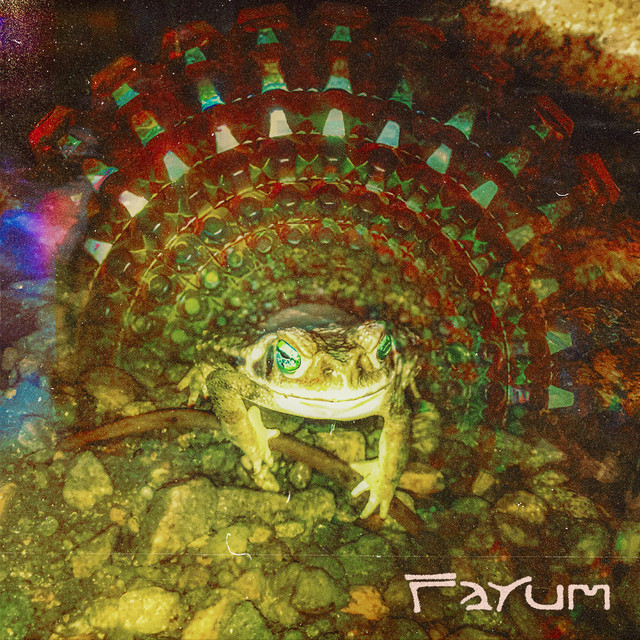 Fayum cover art