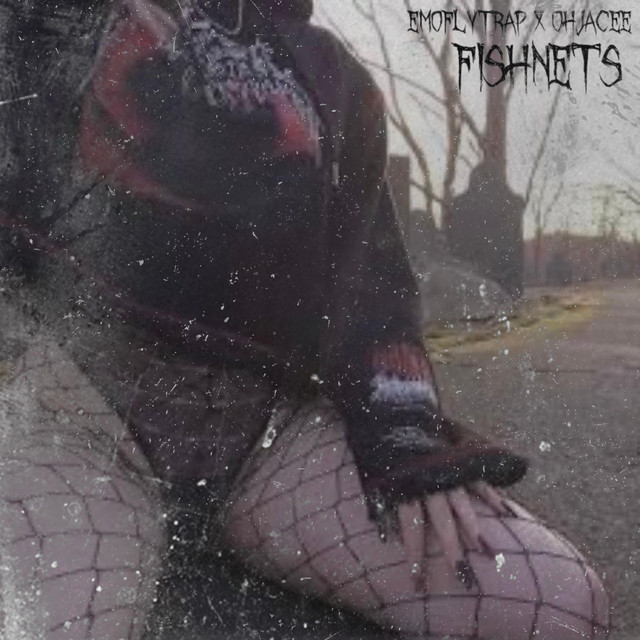 Fishnets cover art