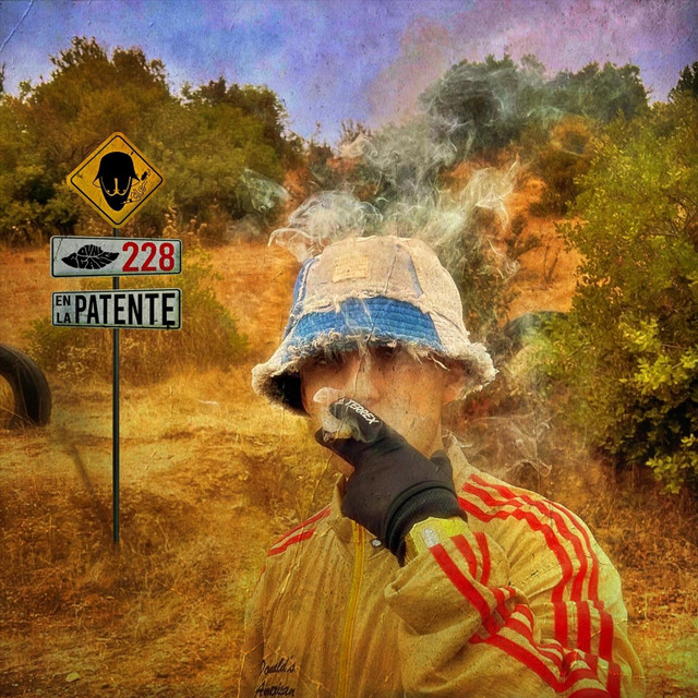 228 en la Patente cover art
