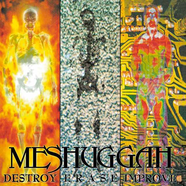 Destroy Erase Improve (RELOADED) cover art