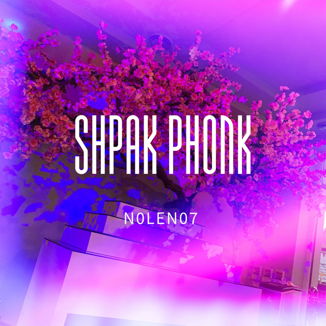 Обкладинка: Shpak Phonk — N0LEN07