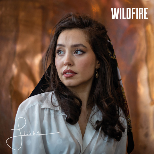 Wildfire cover art