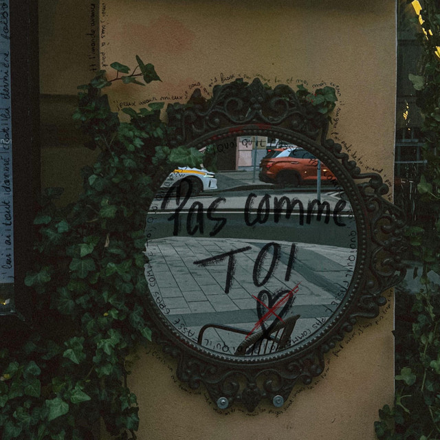 Album cover for pas comme toi by MAŸ