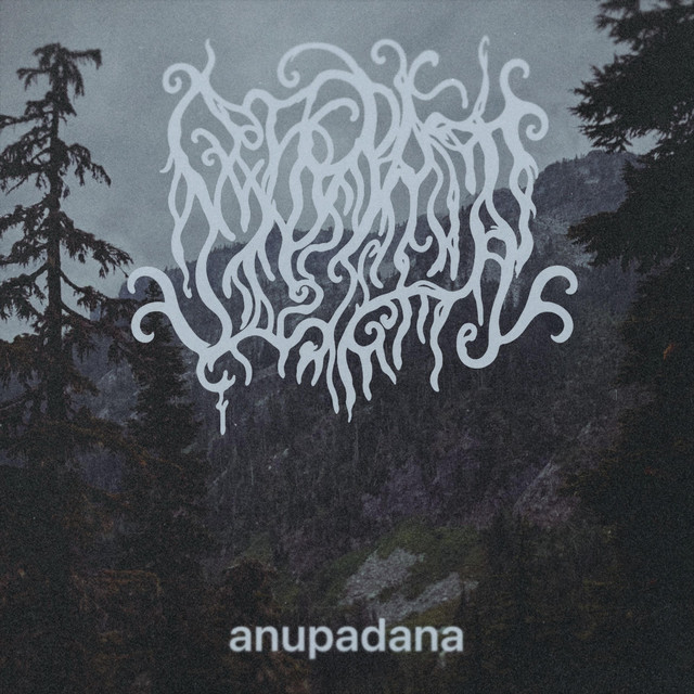 Обкладинка: anupadana — Owlcraft