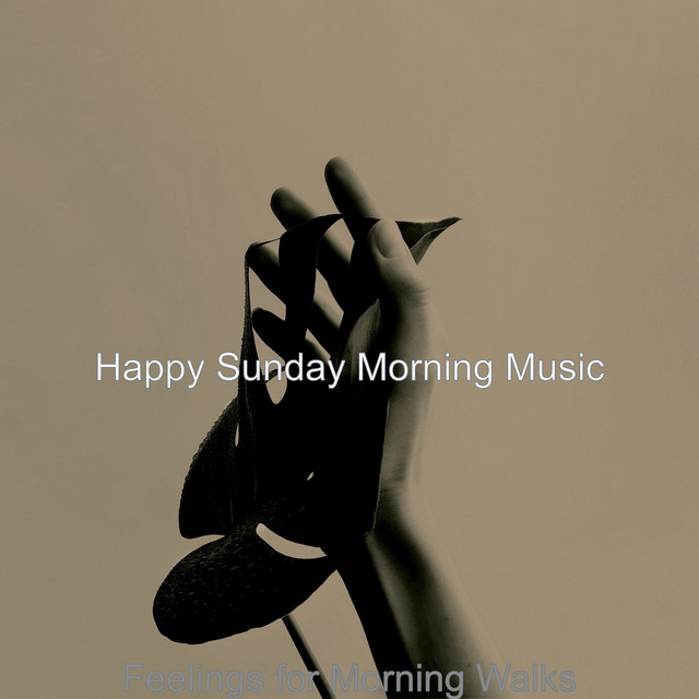 Feelings for Morning Walks cover art