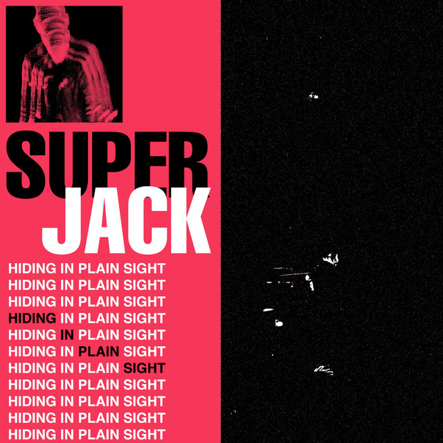Hiding in Plain Sight cover art