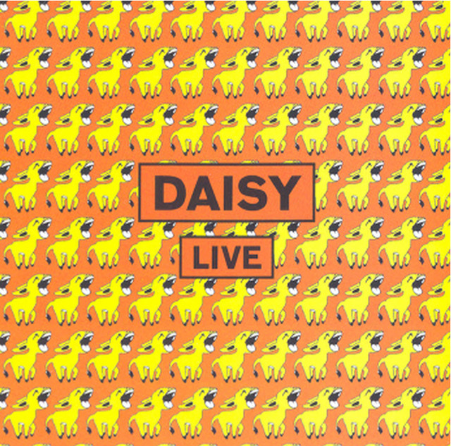 Daisy Live