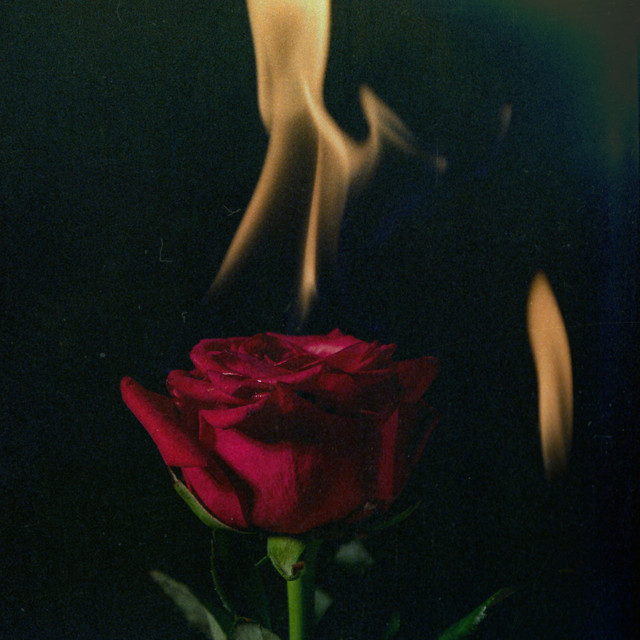 Everything cover art