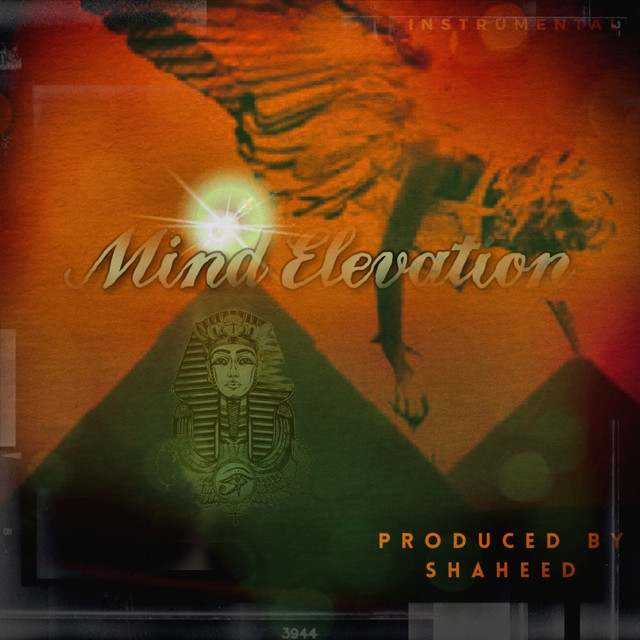 Mind Elevation cover art