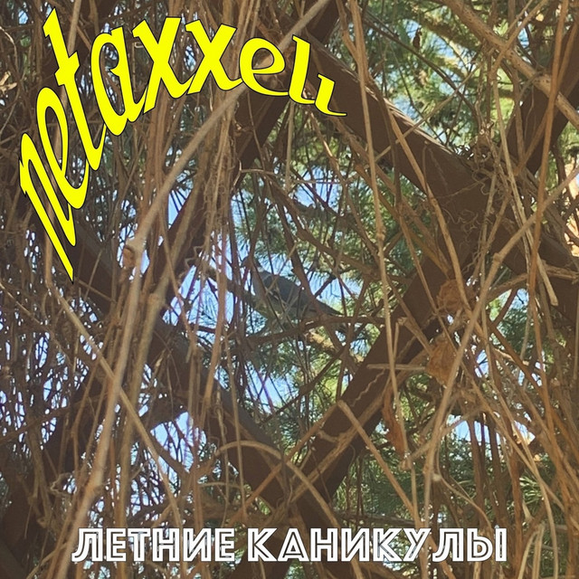 Летние каникулы cover art