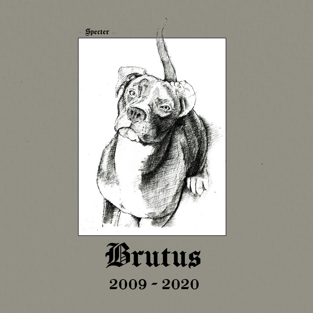 BRUTUS (2009-2020) cover art