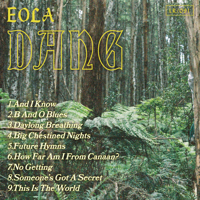 Dang cover