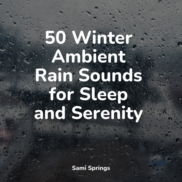50 Winter Ambient Rain Sounds for Sleep and Serenity - Album by Easy ...