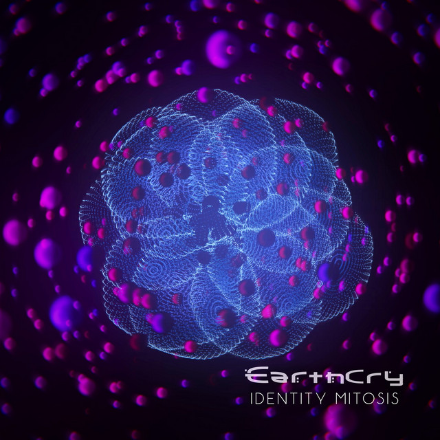 Identity Mitosis cover art