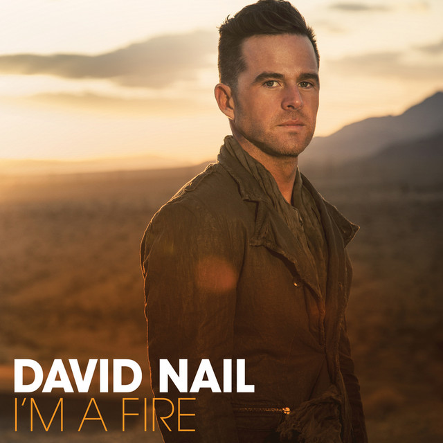 I'm A Fire cover art