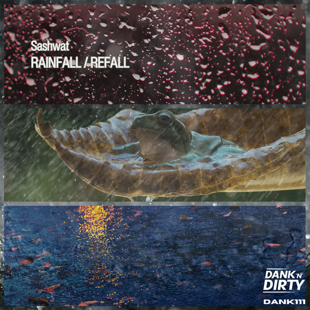 Rainfall / Refall cover art