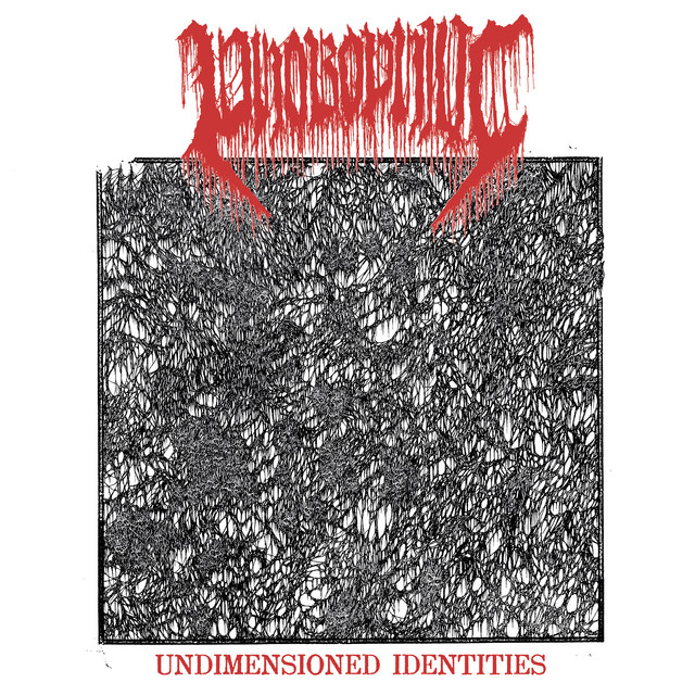 Undimensioned Identities cover