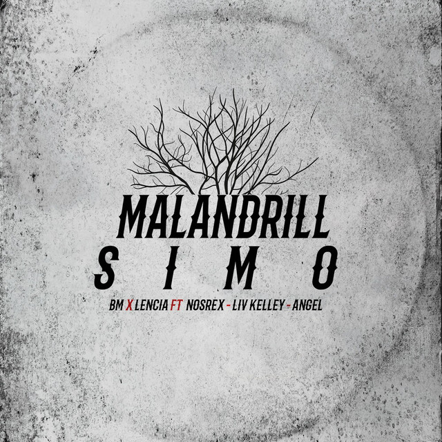 MALANDRILLSIMO