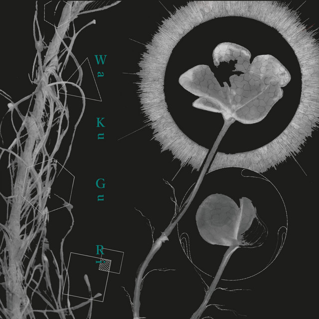 Wa Ku Gu Ri cover
