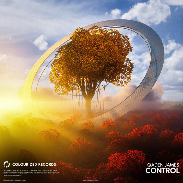 Control cover art