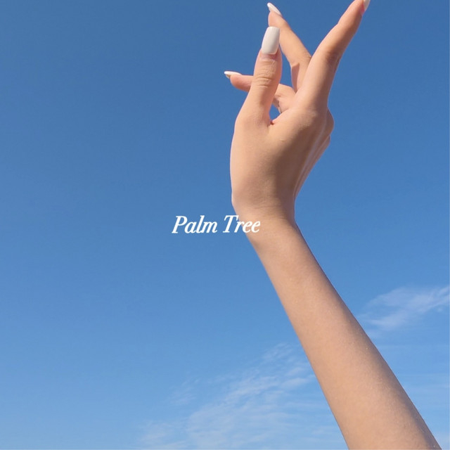 Palm Tree cover art