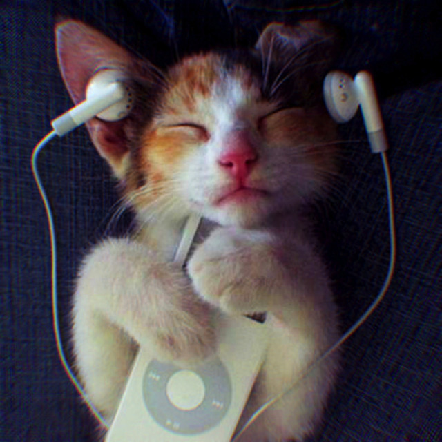 Turn up Ur Headphones cover art