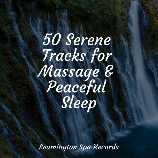 50 Serene Tracks for Massage & Peaceful Sleep - Album by Sons da ...