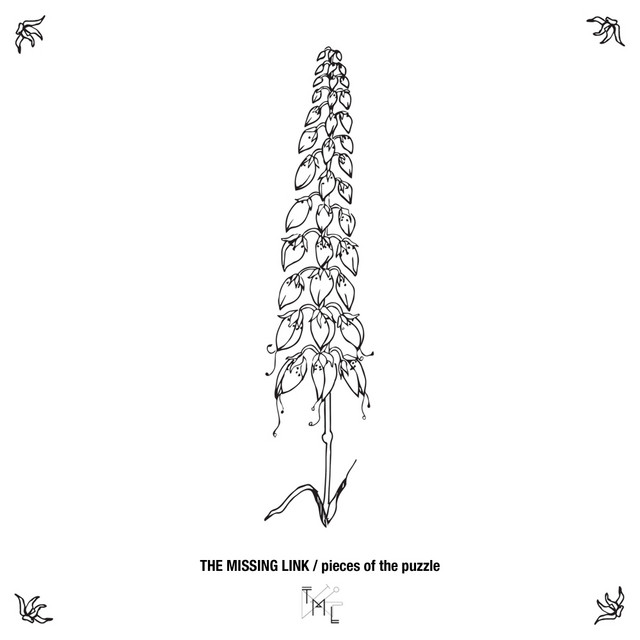 Unravel - Original Mix cover art