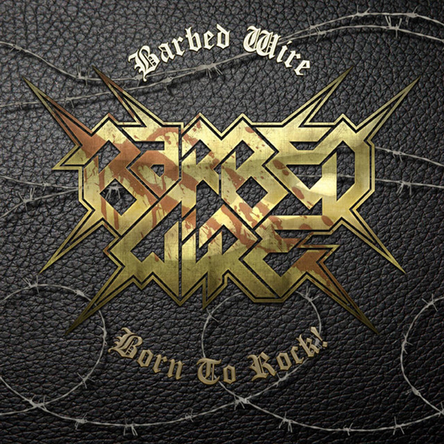 Born to Rock cover art