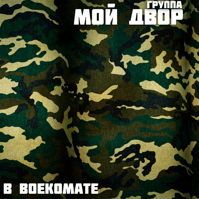 В военкомате cover art